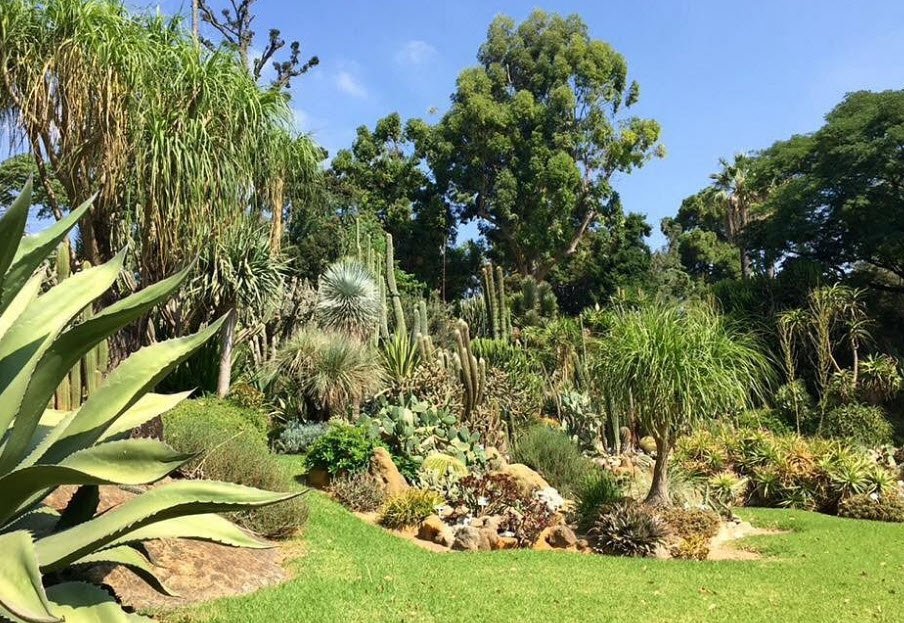 Orto Botanico di Napoli, Naples, Italy, Italy
